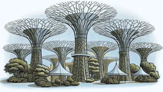 Futuristic Supertree structures dominate Marina Bay while street vendors sell local cuisine