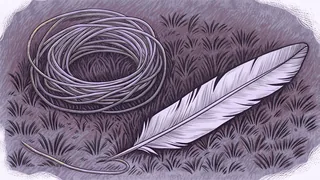 A large pale feather lies on a patch of grass beside a loose coil of wire.