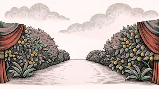 Foods arranged in a sequence representing the stages of human digestion.