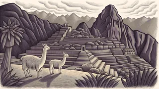 Llama and alpaca graze on terraced Andean slopes high above the ancient Machu Picchu ruins.