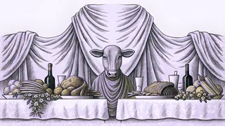 Young calf among sumptuous feast dishes with purple robe draped nearby