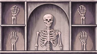 Skeletal anatomy model with individual bones for study