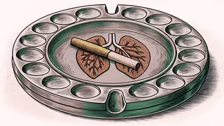 A ceramic ashtray with a cigarette laid across it, beside an anatomical model of lungs.