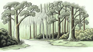 Forest trees of varied heights