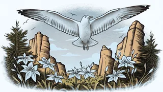 A gull soars above aspen groves near Utah's dramatic red rock canyons.