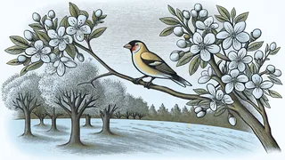A goldfinch lands on a cherry tree surrounded by spring blossoms and evergreens.