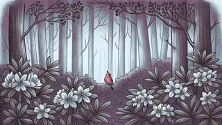 A cardinal perches in a thicket of pink rhododendrons on a misty mountain slope.