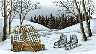 A pair of wooden snowshoes and a pair of white ice skates rest in the snow below bare trees and a line of pines.
