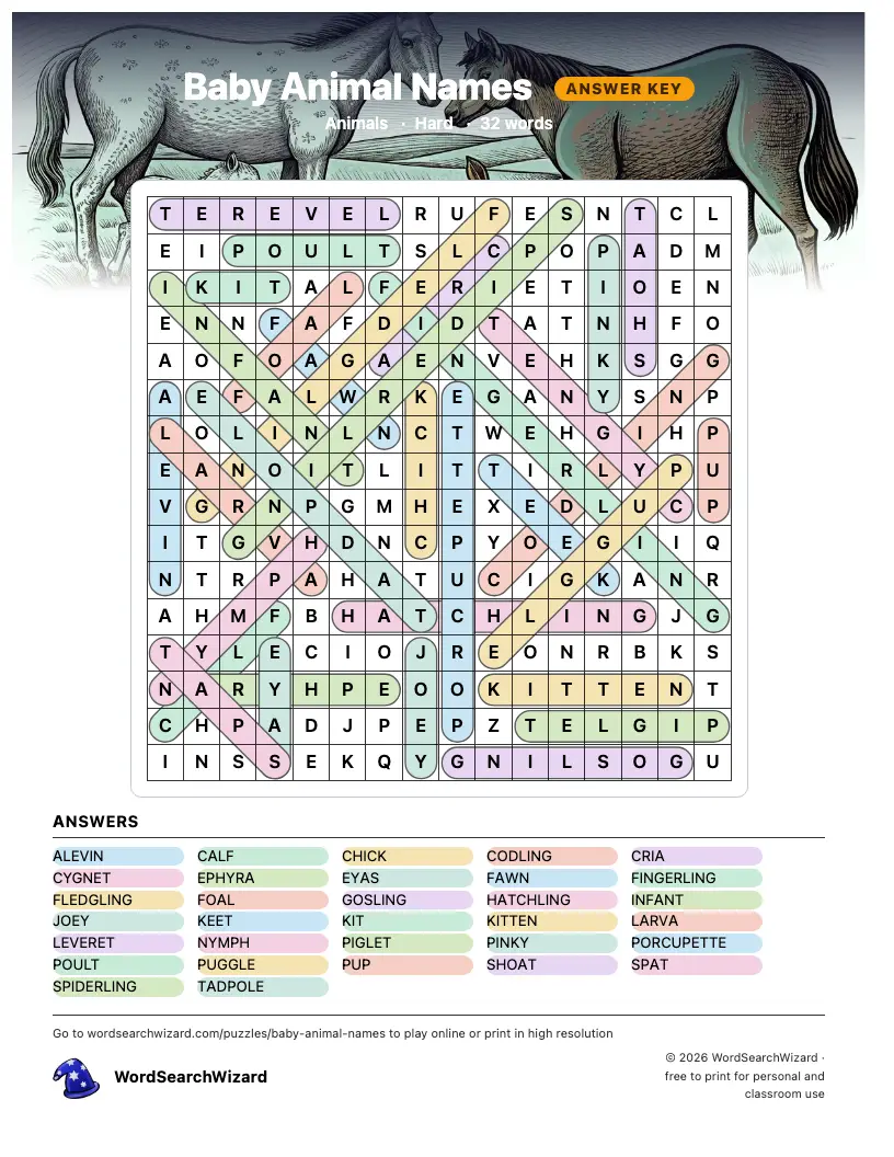 Baby Animal Names word search answer key, all 32 words marked