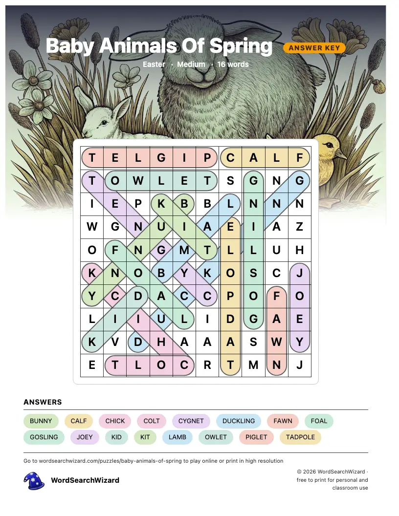 Baby Animals Of Spring word search answer key, all 16 words marked