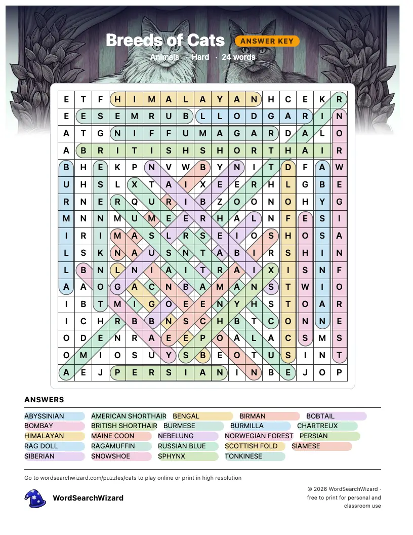 Breeds of Cats word search answer key, all 24 words marked