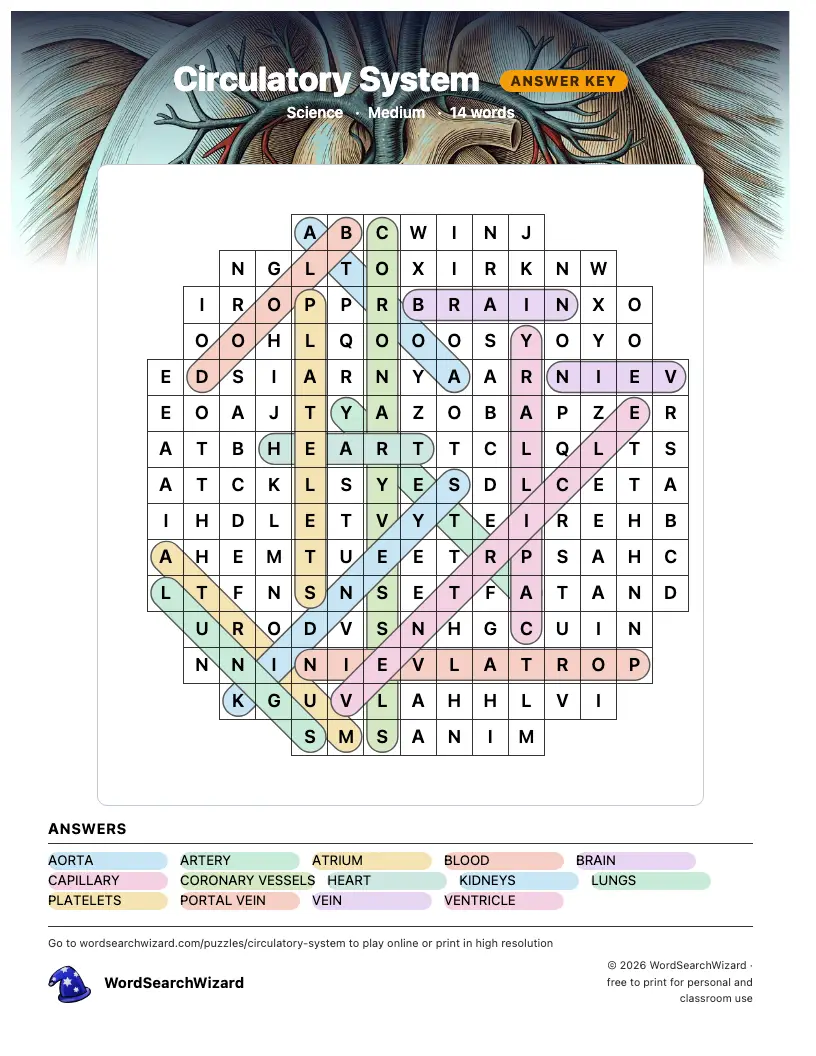 Circulatory System word search answer key, all 14 words marked