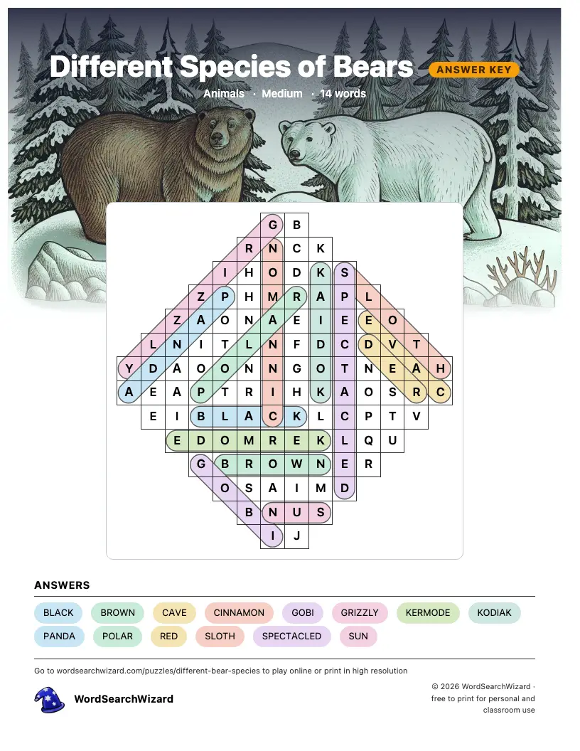 Different Species of Bears word search answer key, all 14 words marked