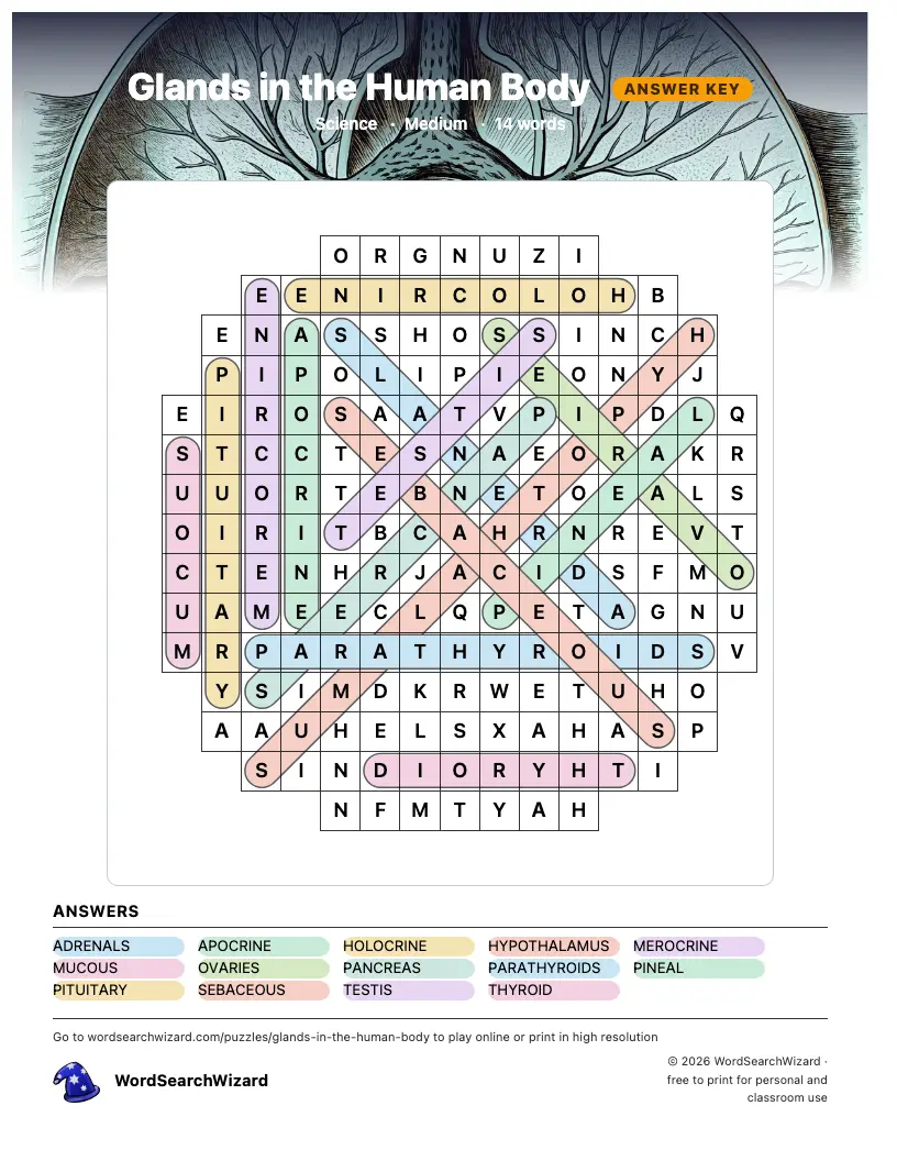 Glands in the Human Body word search answer key, all 14 words marked