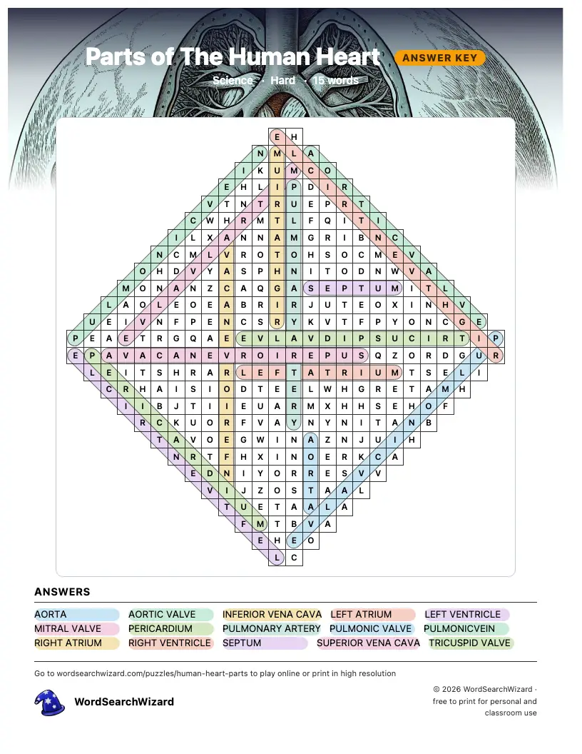 Parts of The Human Heart word search answer key, all 15 words marked