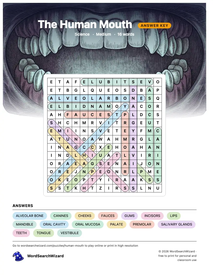 The Human Mouth word search answer key, all 16 words marked