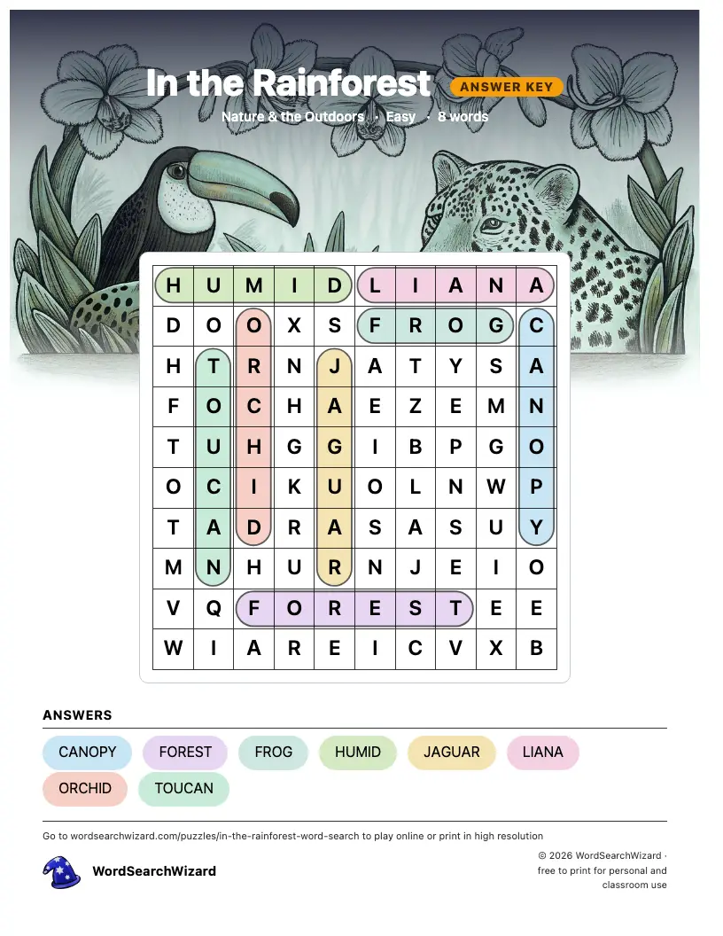 In the Rainforest word search answer key, all 8 words marked