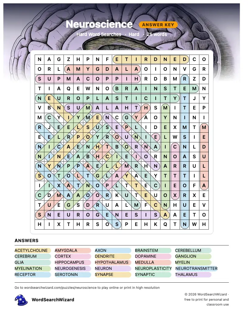 Neuroscience word search answer key, all 25 words marked