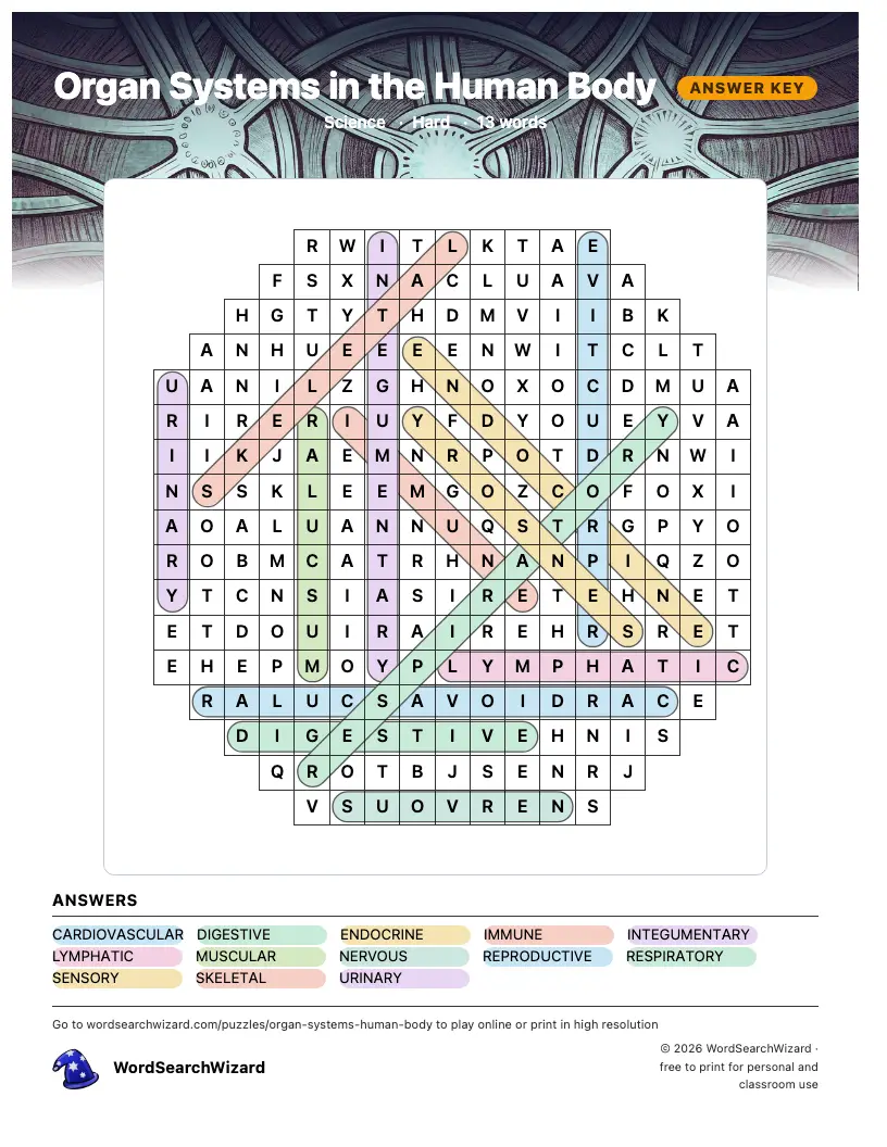 Organ Systems in the Human Body word search answer key, all 13 words marked