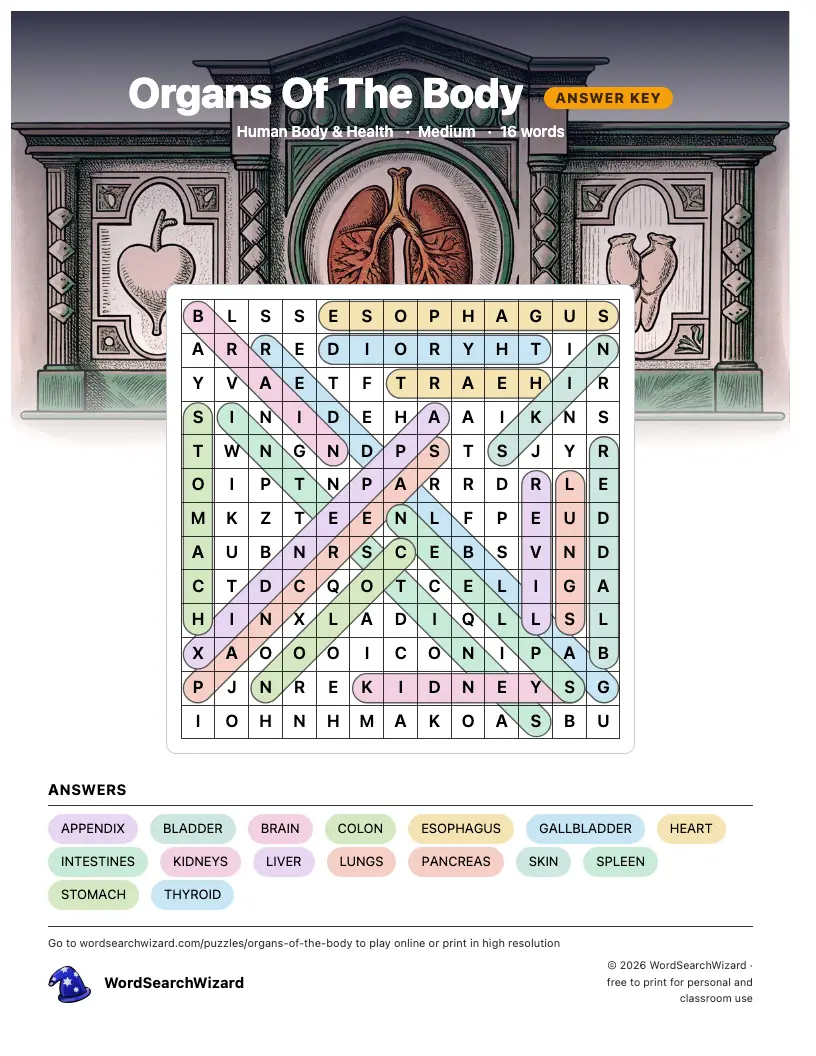 Organs Of The Body word search answer key, all 16 words marked