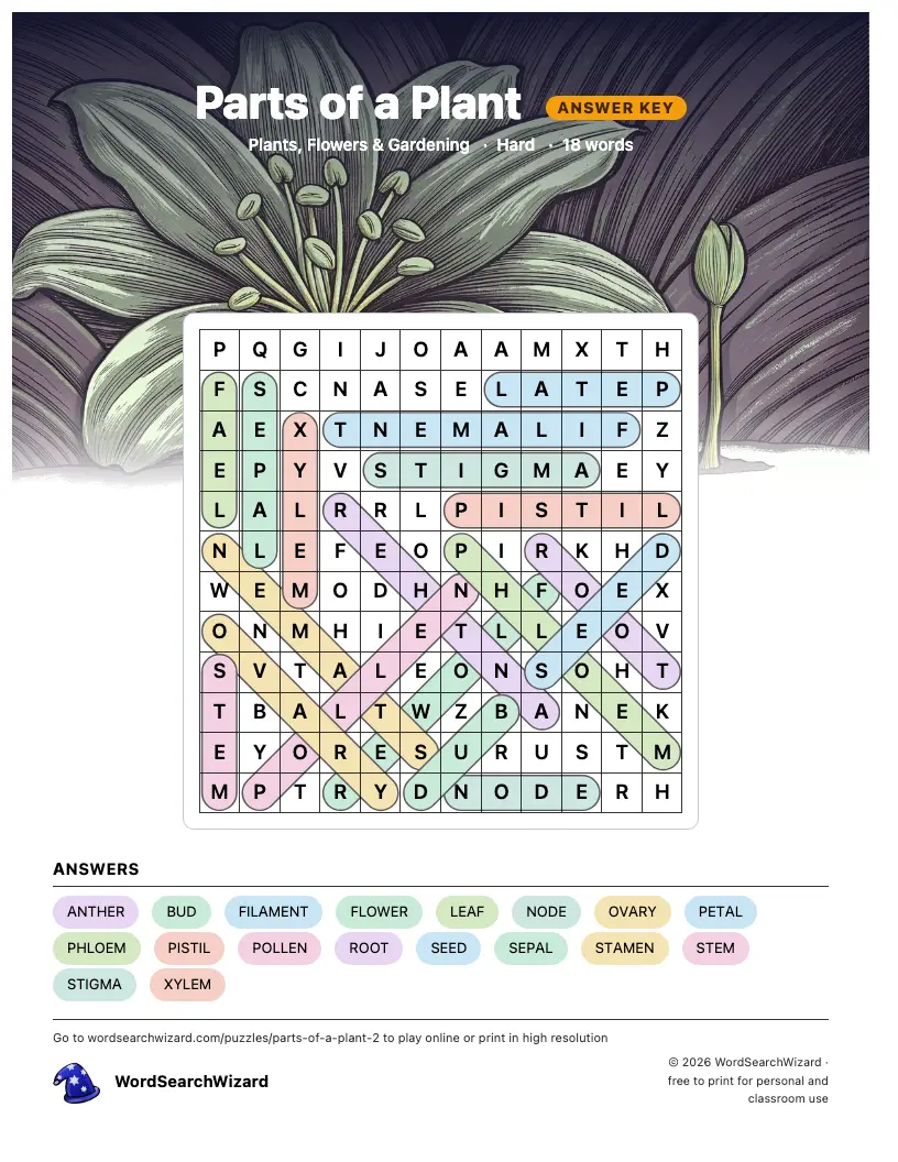 Parts of a Plant word search answer key, all 18 words marked