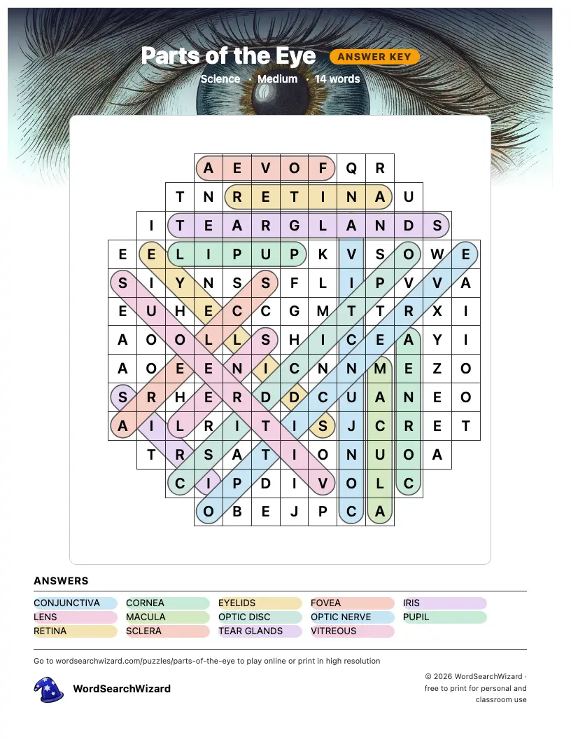 Parts of the Eye word search answer key, all 14 words marked