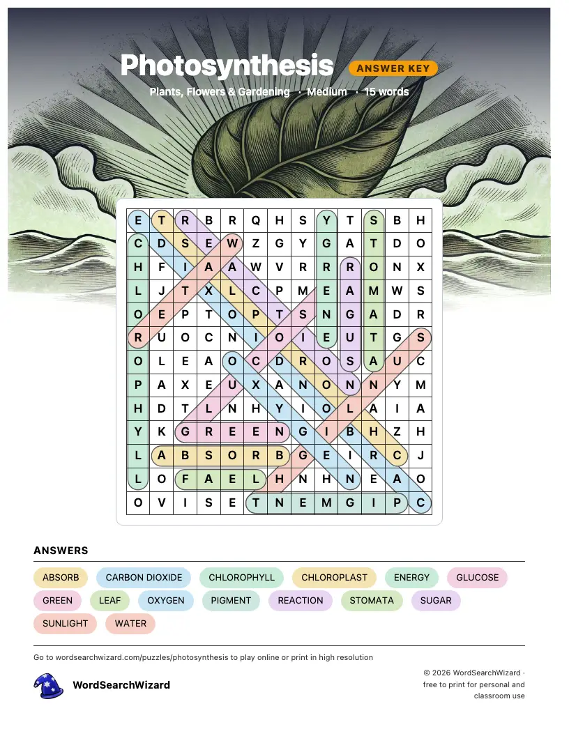 Photosynthesis word search answer key, all 15 words marked