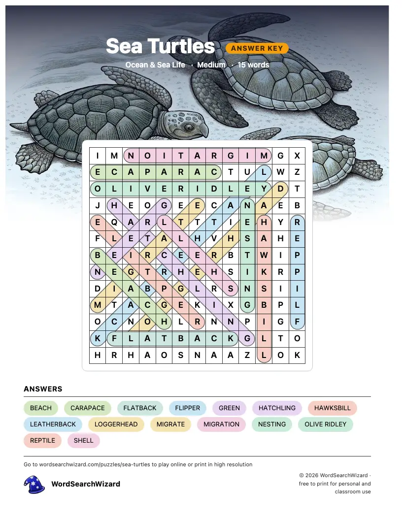 Sea Turtles word search answer key, all 15 words marked