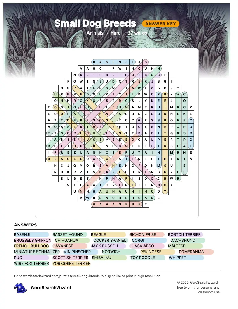 Small Dog Breeds word search answer key, all 27 words marked