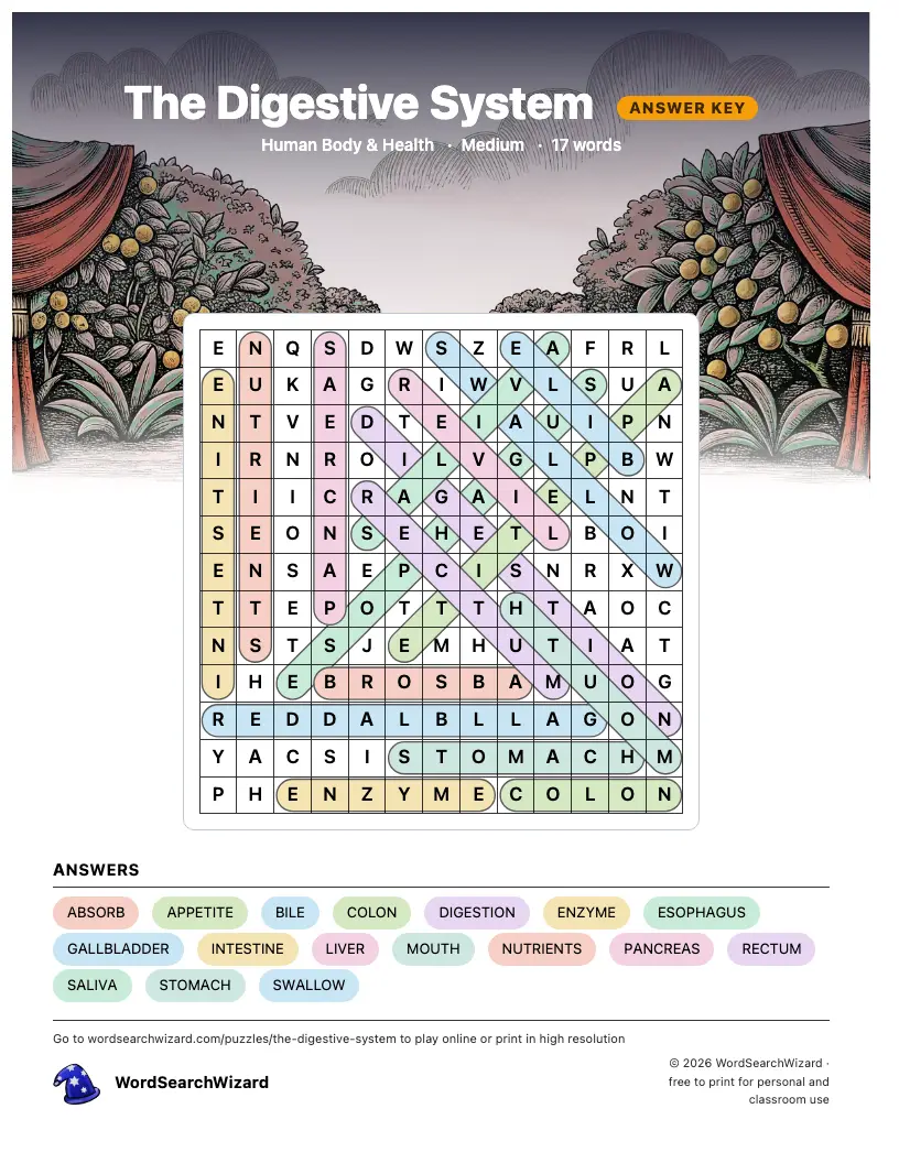 The Digestive System word search answer key, all 17 words marked