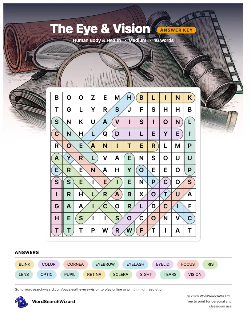 The Eye & Vision word search answer key, all 16 words marked