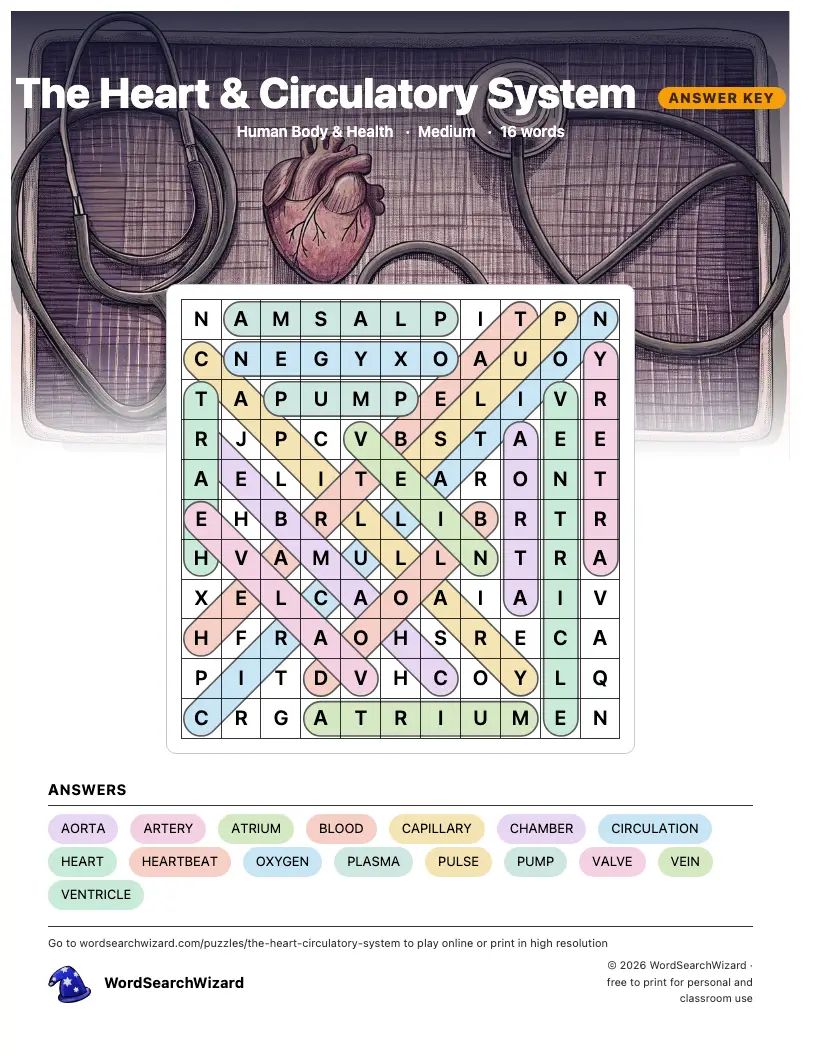 The Heart & Circulatory System word search answer key, all 16 words marked