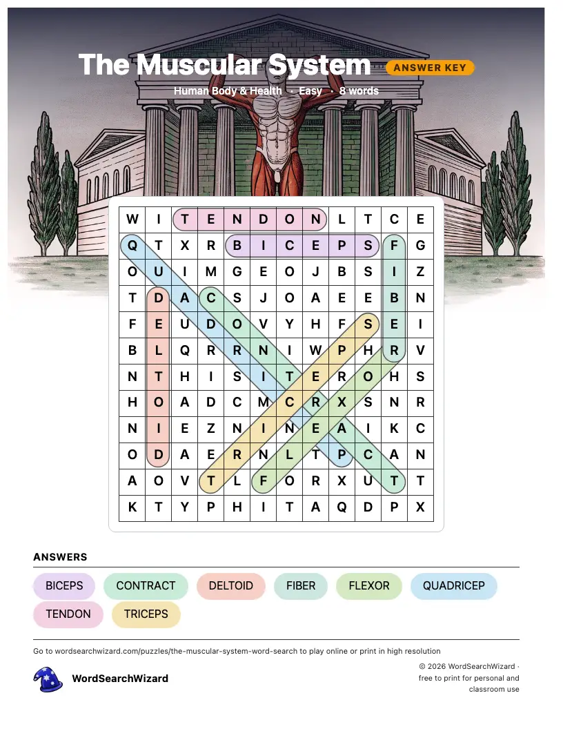 The Muscular System word search answer key, all 8 words marked