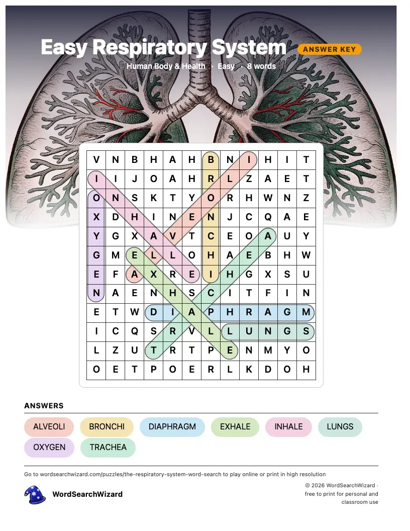 Easy Respiratory System word search answer key, all 8 words marked