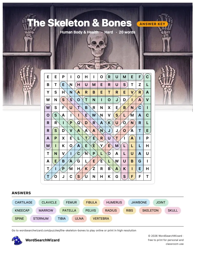 The Skeleton & Bones word search answer key, all 20 words marked
