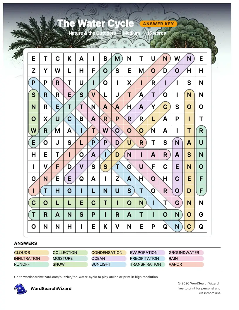 The Water Cycle word search answer key, all 15 words marked