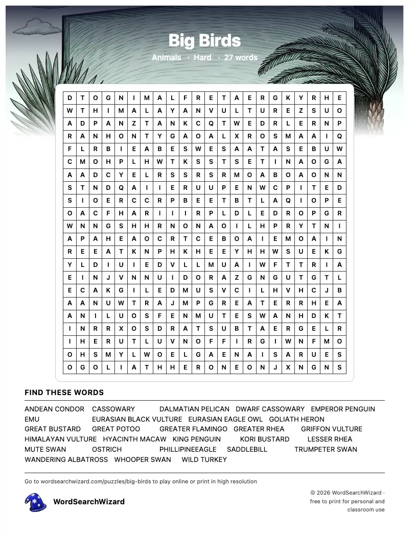 Big Birds word search printable sheet, 27 words to find