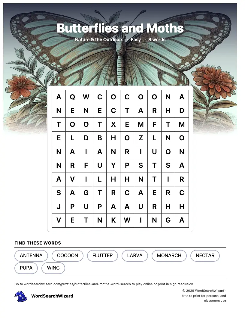Butterflies and Moths word search printable sheet, 8 words to find