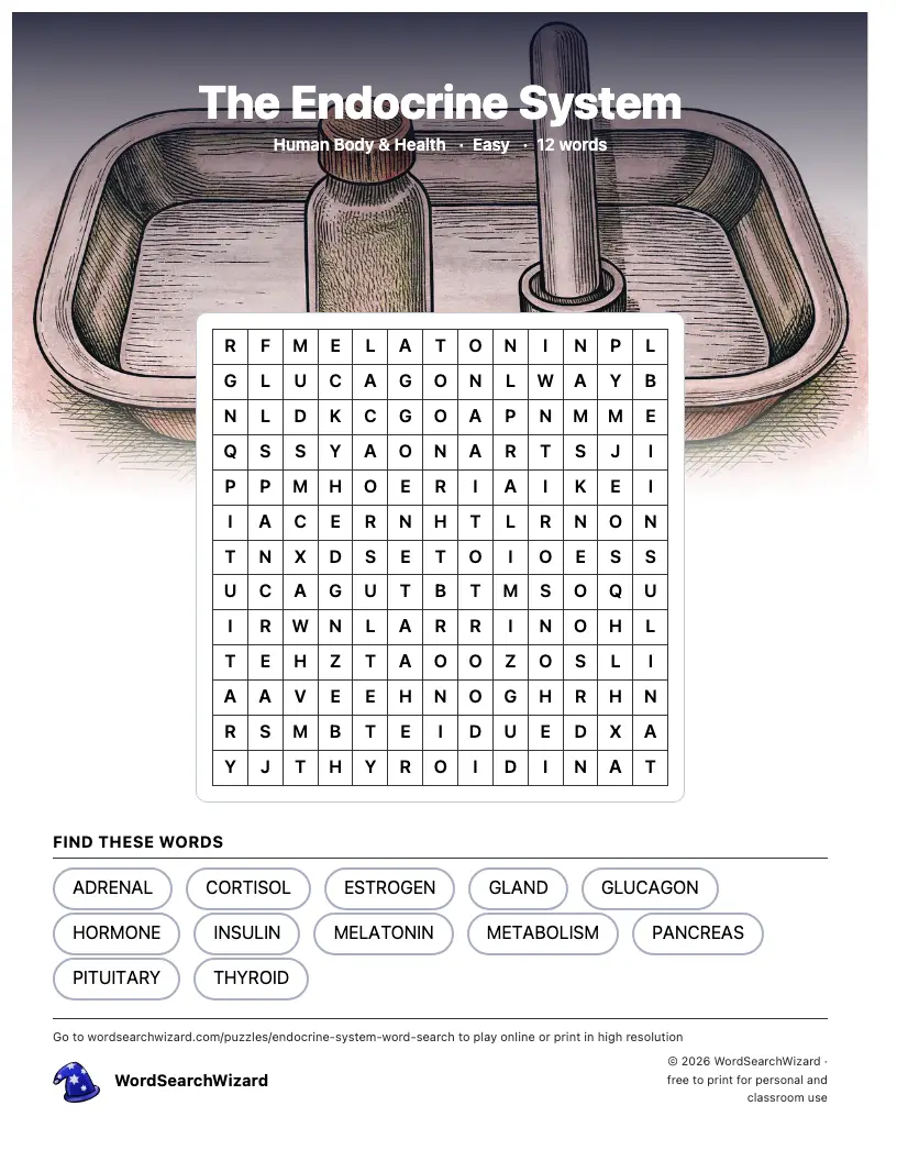 The Endocrine System word search printable sheet, 12 words to find