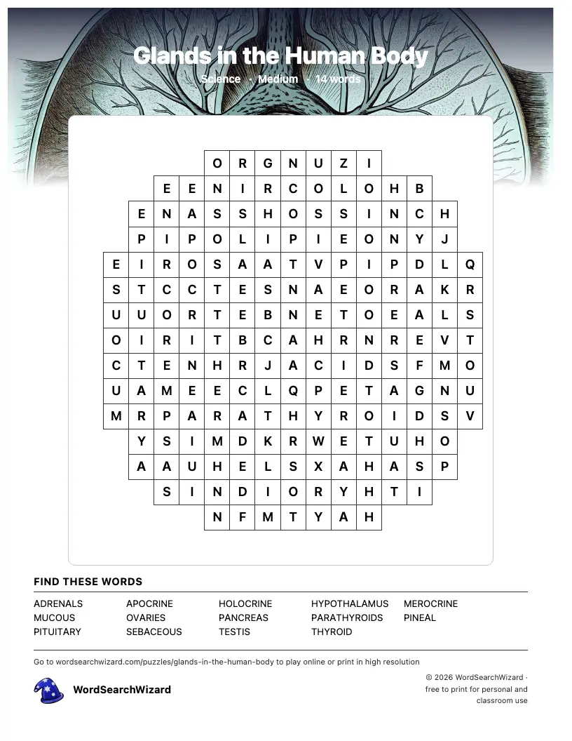 Glands in the Human Body word search printable sheet, 14 words to find