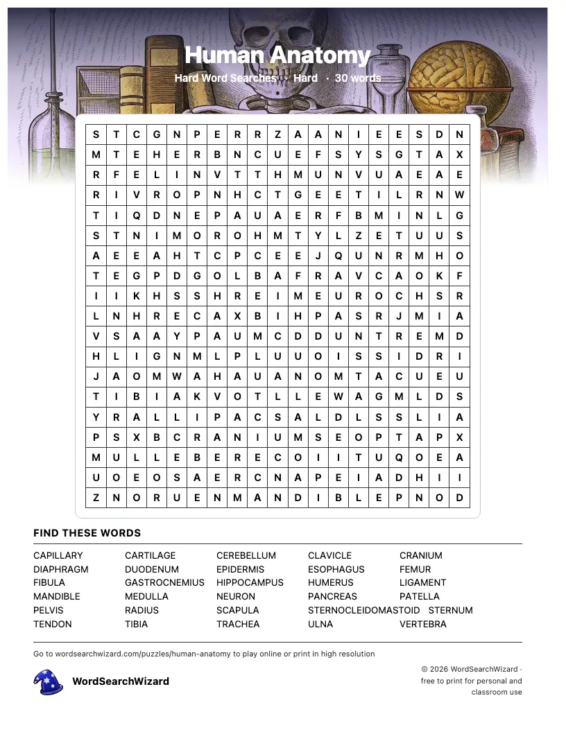 Human Anatomy word search printable sheet, 30 words to find
