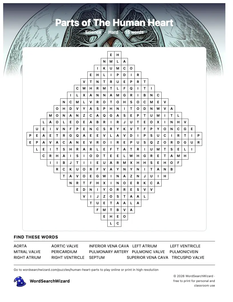 Parts of The Human Heart word search printable sheet, 15 words to find