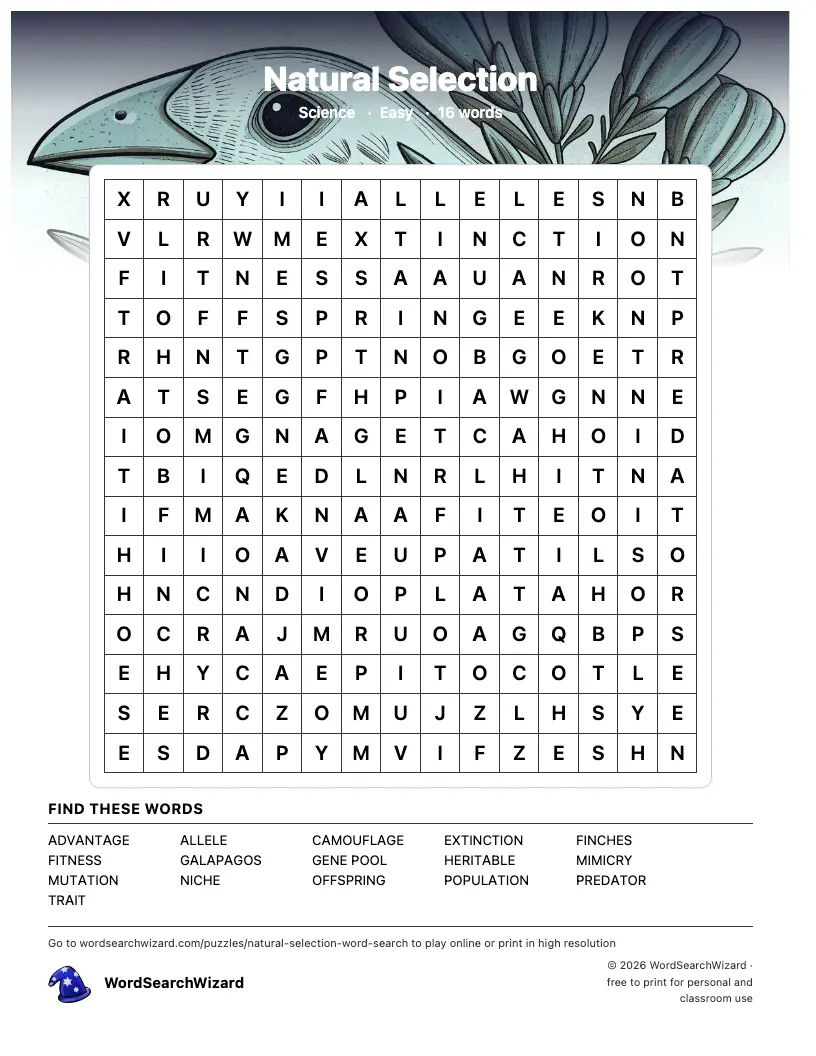Natural Selection word search printable sheet, 16 words to find