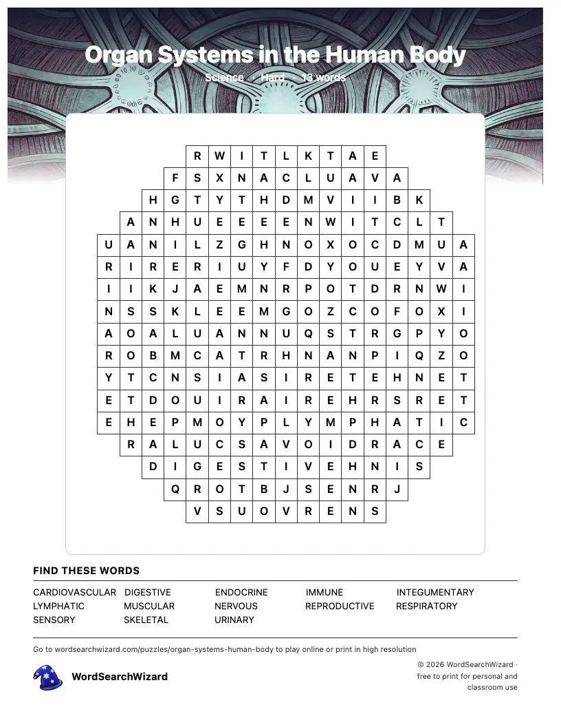Organ Systems in the Human Body word search printable sheet, 13 words to find