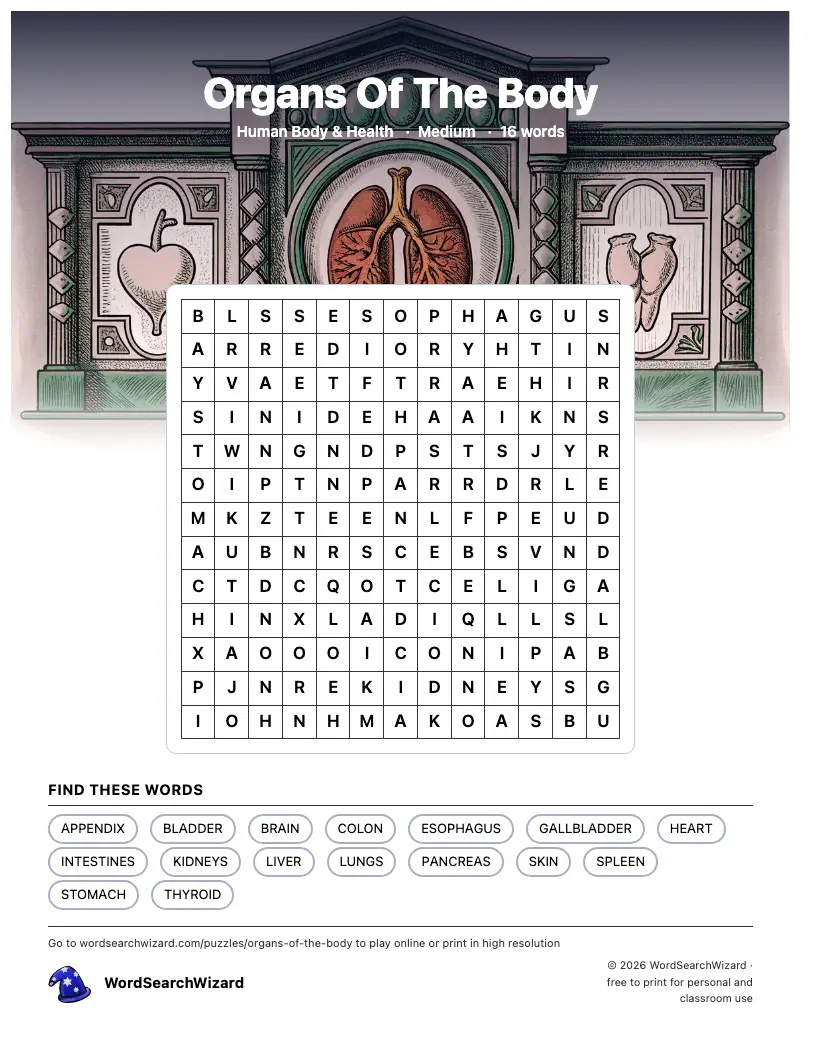 Organs Of The Body word search printable sheet, 16 words to find
