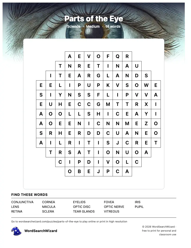 Parts of the Eye word search printable sheet, 14 words to find