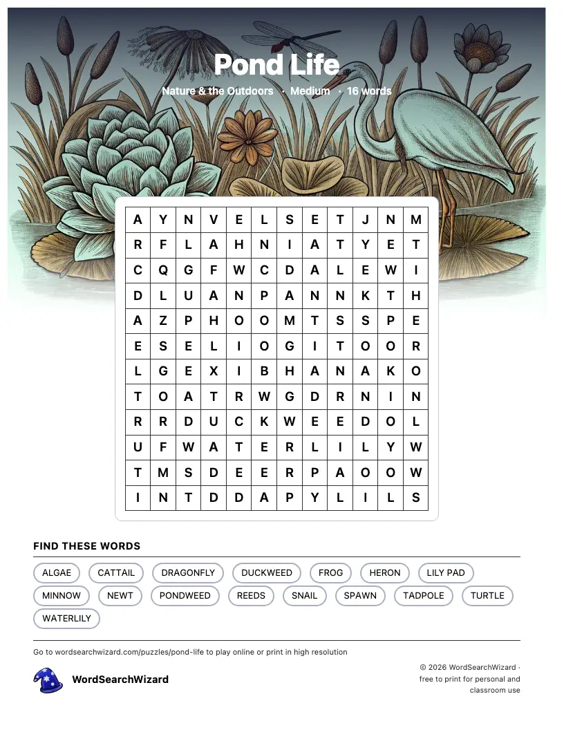 Pond Life word search printable sheet, 16 words to find