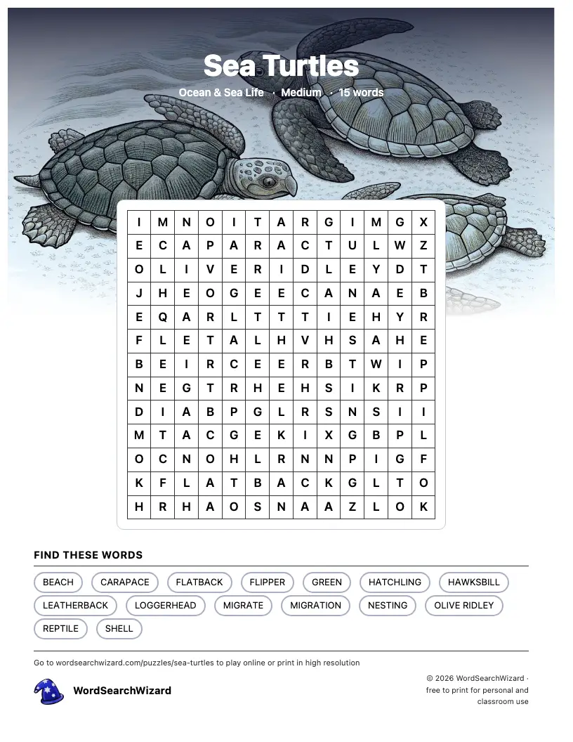 Sea Turtles word search printable sheet, 15 words to find