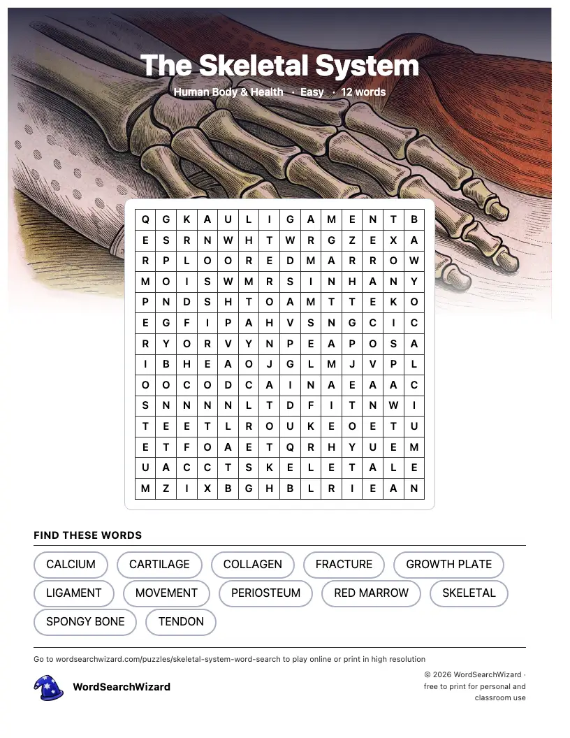The Skeletal System word search printable sheet, 12 words to find