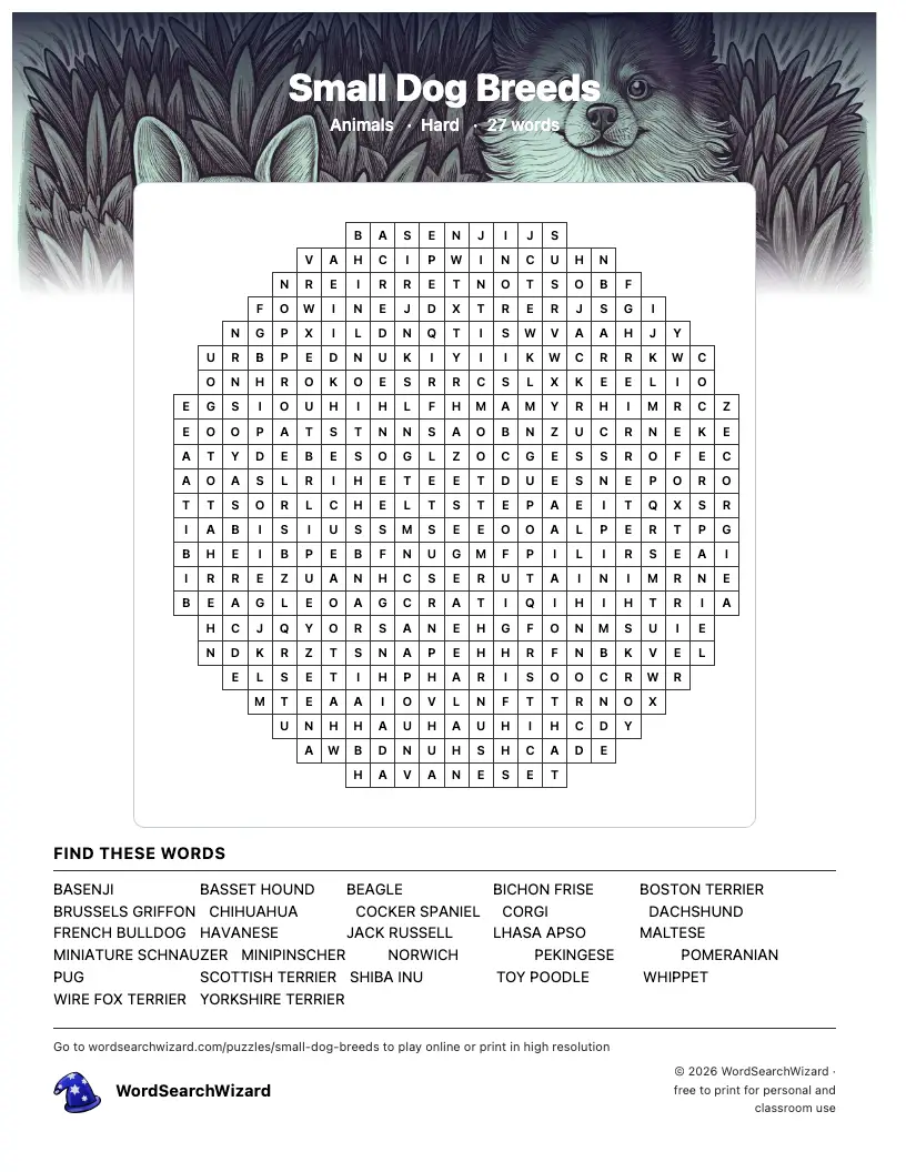 Small Dog Breeds word search printable sheet, 27 words to find
